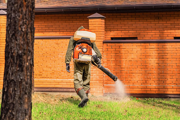 Trusted Termite Control service in Millers Creek, NC - Nex Pest Control